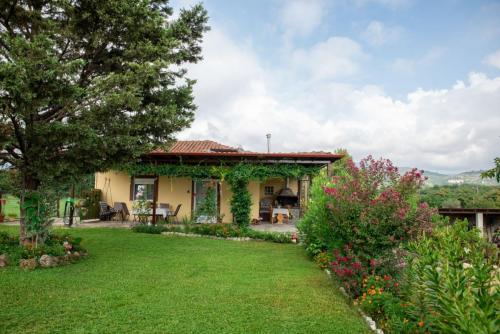 Garden, house
